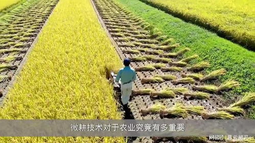 微耕技術 日本農業的高效實踐與深遠影響
