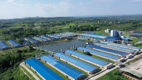 工行重慶市分行 普惠金融助力農業技術開發，服務實體經濟促發展