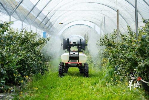 加大對農業科技的經費和政策支持，推動農業技術開發