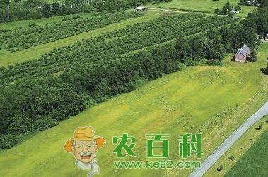 山東濱州高效生態農業建設 農業技術開發引領綠色轉型