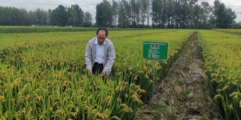 扎根基層二十九載 匠心服務三農顯擔當——記“滁州好人”周福紅先進事跡