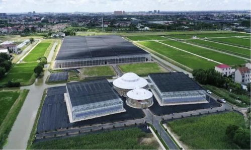 從農場到農廠 看這家企業如何用算法與農業技術開發振興產業