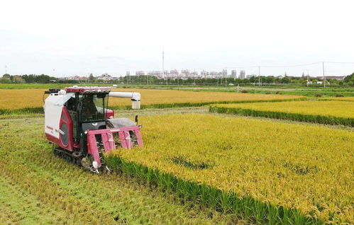 主播說聯播丨科技加持，讓農業發展更有“機”遇