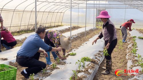 科技下鄉，精準賦能 農業技術開發引領產業新變革