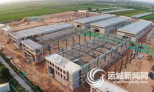 接續(xù)掀起項(xiàng)目建設(shè)新高潮 不斷夯實(shí)高質(zhì)量發(fā)展根基——以農(nóng)業(yè)技術(shù)開發(fā)為引領(lǐng)