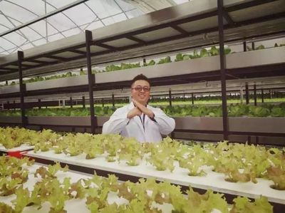 南軟星光 | 曼哈都市田園 科技賦能，打造高營(yíng)養(yǎng)放心蔬菜的綠色革命