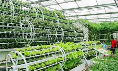 打造休閑農(nóng)業(yè)項(xiàng)目的10大經(jīng)驗(yàn)總結(jié)，讓農(nóng)莊越來(lái)越火！