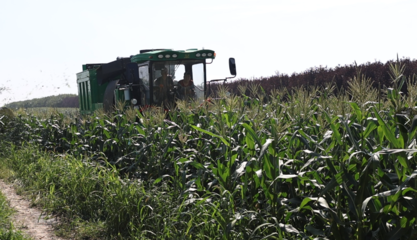 哈爾濱市平房鎮(zhèn) “三鏈”繪就鄉(xiāng)村振興新圖景，農(nóng)業(yè)技術(shù)開發(fā)譜寫“十四五”收官年田野新答卷