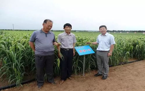 以民為本，以食為天，以安為先——蒙清農(nóng)業(yè)的科技興農(nóng)之路