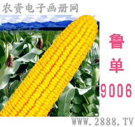 河南原陽(yáng)航信農(nóng)業(yè)科技開(kāi)發(fā)推廣中心 驅(qū)動(dòng)農(nóng)業(yè)技術(shù)創(chuàng)新的引擎